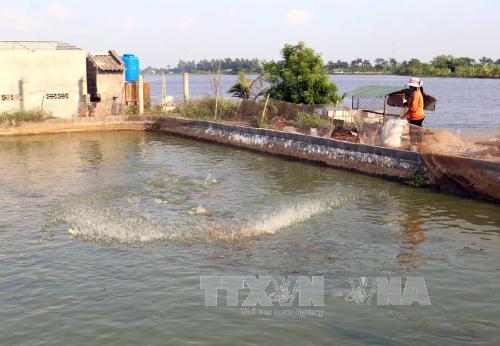 Bảo lãnh tín dụng sau đầu tư của Quỹ Hỗ trợ phát triển hợp tác xã 